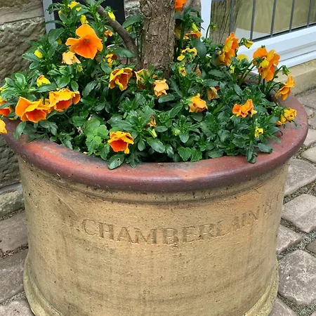 Collingwood Cottage, Brampton