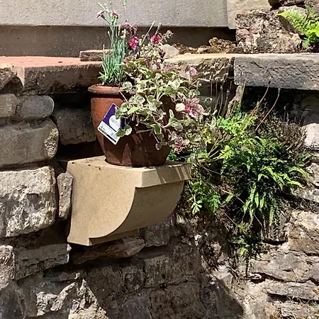 Holiday home Collingwood Cottage, Brampton *