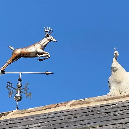 Collingwood Cottage, Brampton Holiday home Farlam