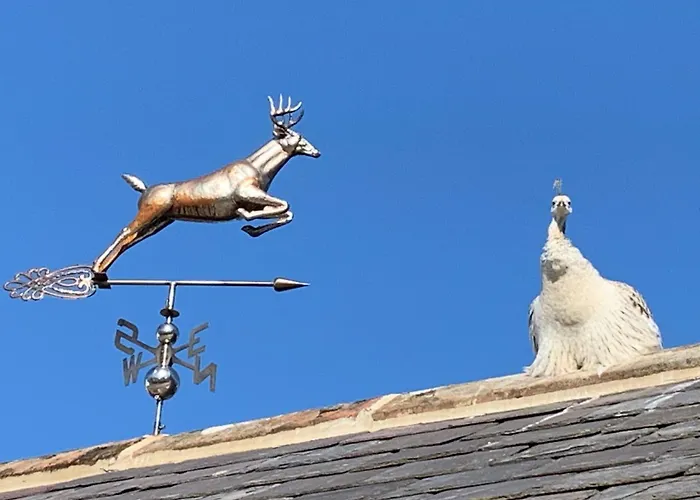 Collingwood Cottage, Brampton Holiday home Farlam