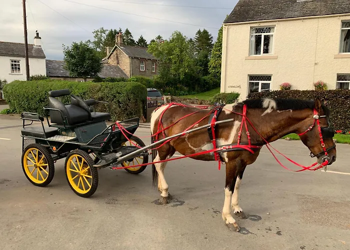 Collingwood Cottage, Brampton Holiday home *