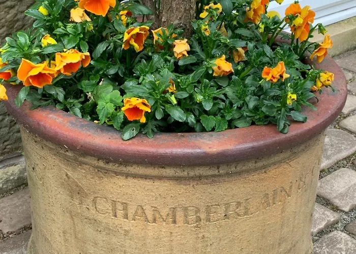 Collingwood Cottage, Brampton